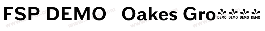 FSP DEMO   Oakes Gro字体转换